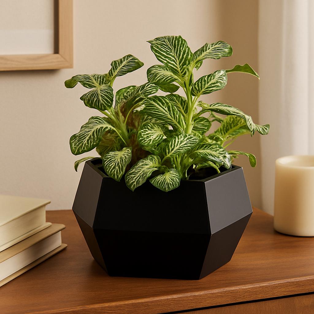 3D Printed Hexagon Succulent Planter: Modern Geometric Pot