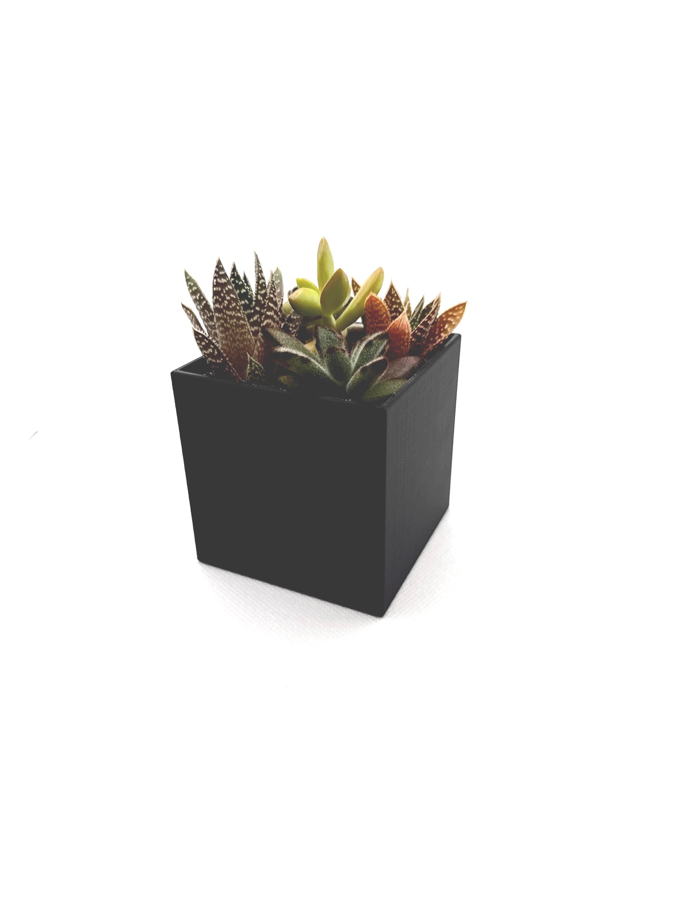 Minimalist Cube Succulent Planter: 3D Printed Geometric Desk Decor