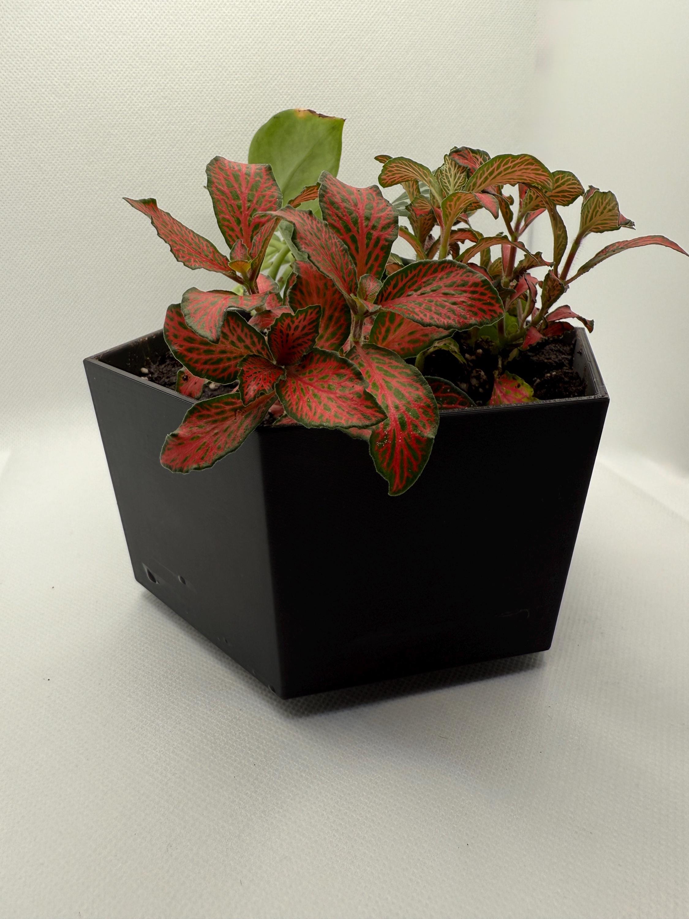 Polygon Desk Planter | 3D Printed Succulent Pot | Minimalist Office Decor | Scandinavian Style Plant Gift