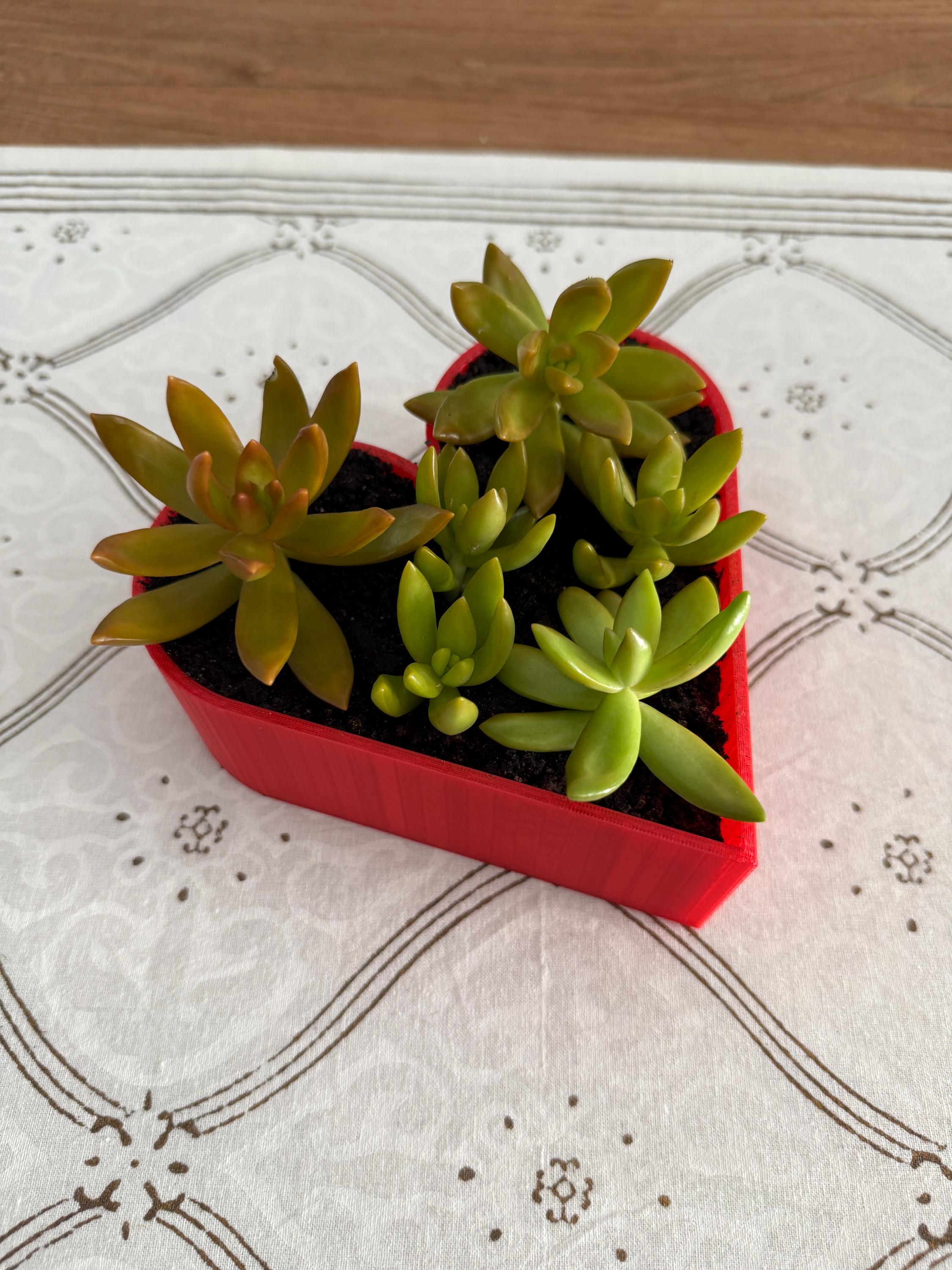 Heart Succulent Planter: 3D Printed Desk Decor, Eco-Friendly PLA
